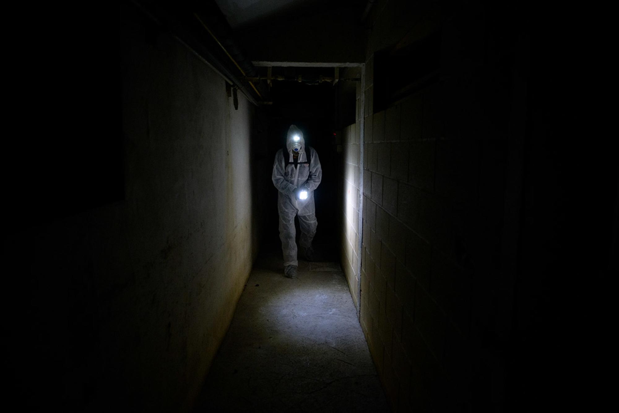 Investigador granja cerdos